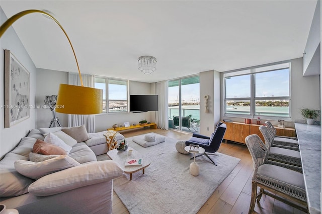 living room featuring floor to ceiling windows, plenty of natural light, and light hardwood / wood-style floors