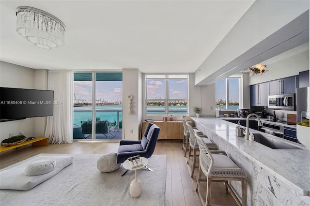 kitchen featuring expansive windows, light hardwood / wood-style floors, light stone counters, and sink