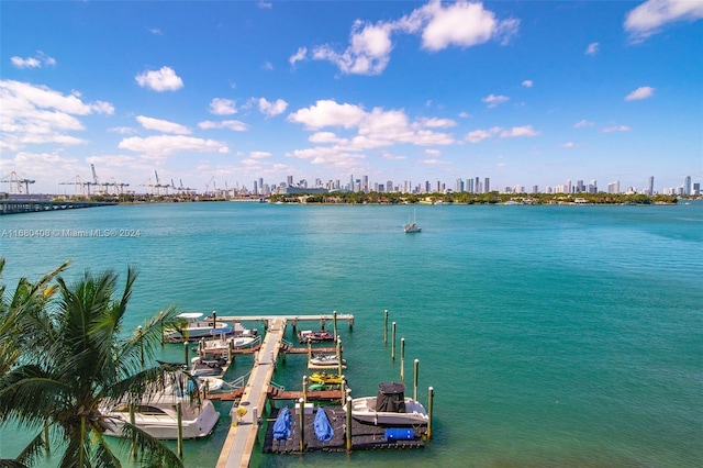 property view of water featuring a boat dock