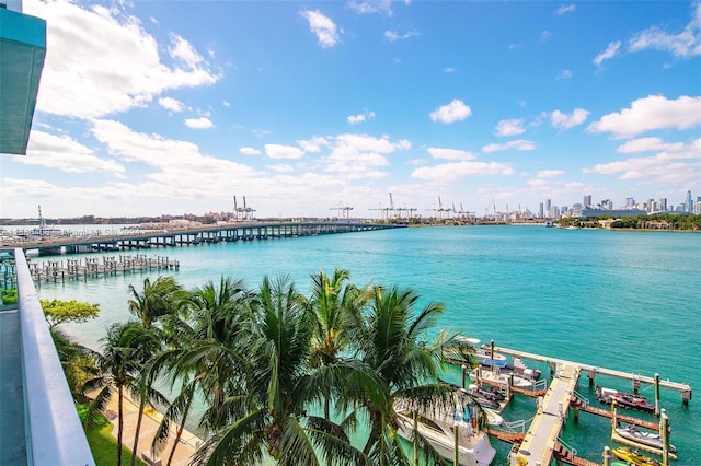 water view with a dock