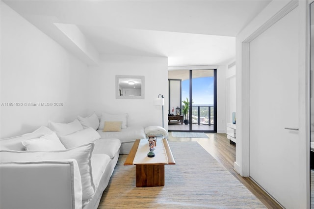 121 NE 34th St Unit 3014, Miami, FL 33137 - living room featuring wood finished floors