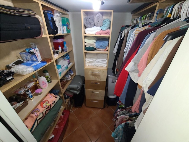 spacious closet featuring dark tile patterned floors