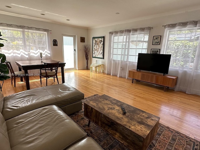 329 NE 87th St, El Portal, FL 33138 - photo 4