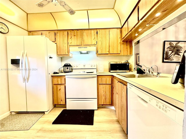 kitchen featuring light hardwood / wood-style floors, white appliances, and sink