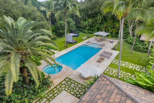 view of pool featuring a patio, a shed, and a yard