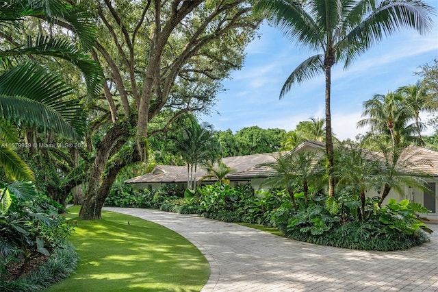 view of property's community with a lawn