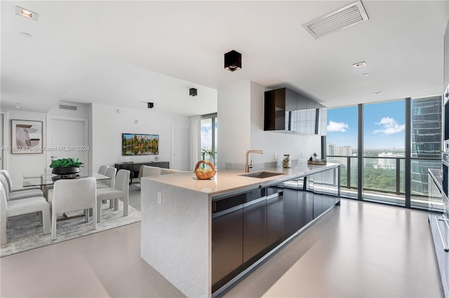 kitchen with a kitchen island with sink, expansive windows, and sink