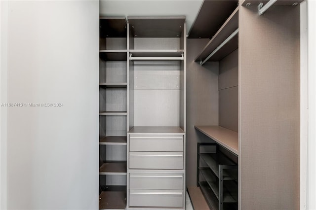 view of walk in closet