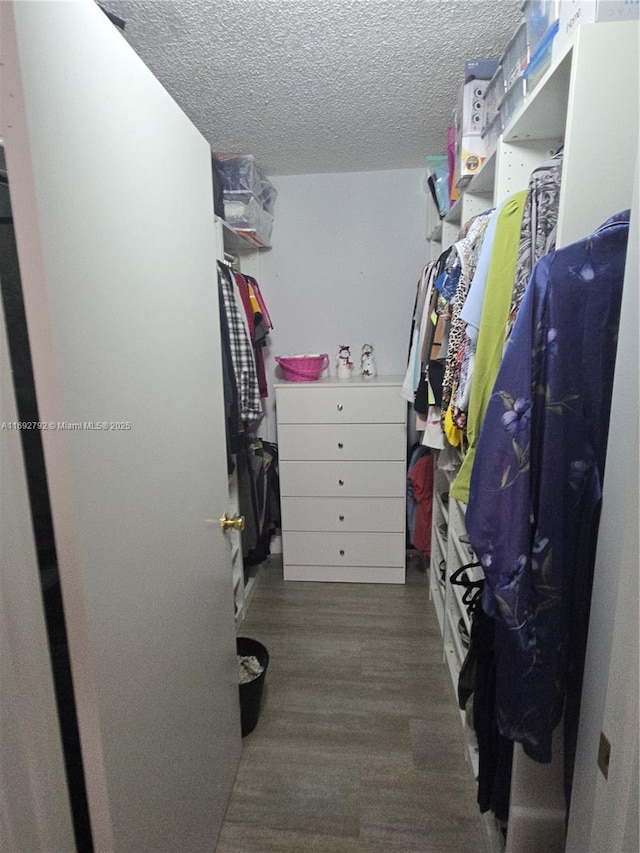 walk in closet with dark wood-type flooring