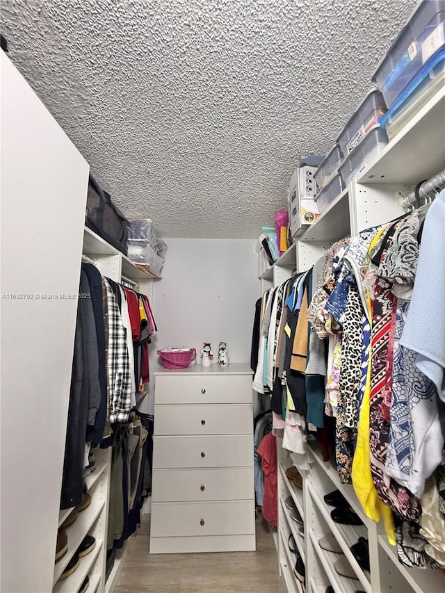 spacious closet featuring light hardwood / wood-style flooring