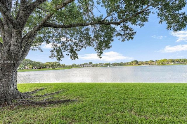 property view of water