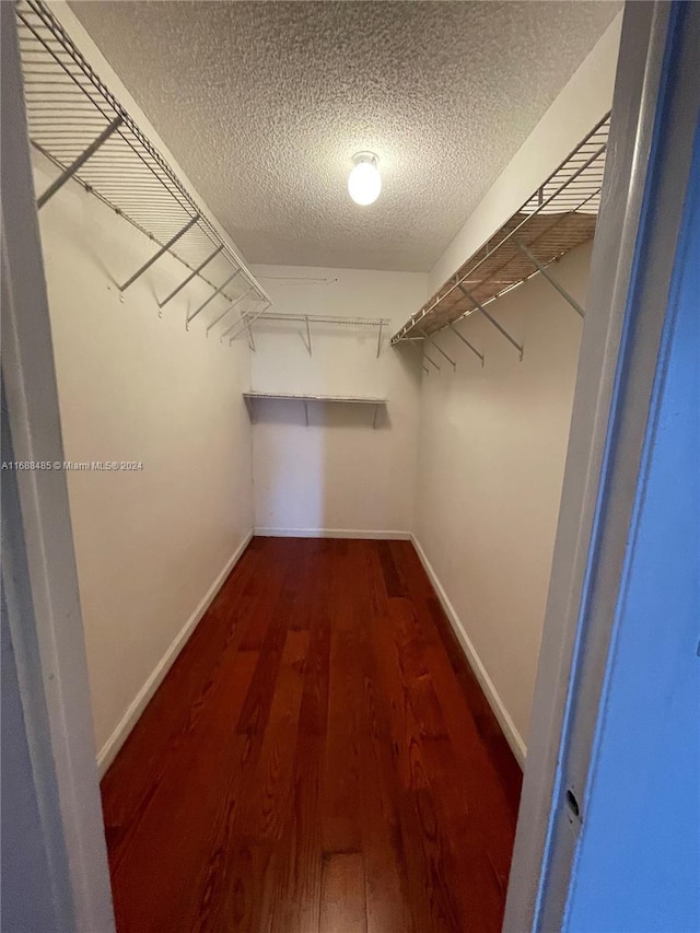 walk in closet featuring dark wood-type flooring