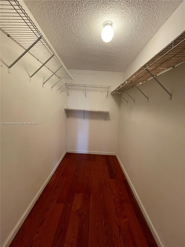 walk in closet with hardwood / wood-style floors