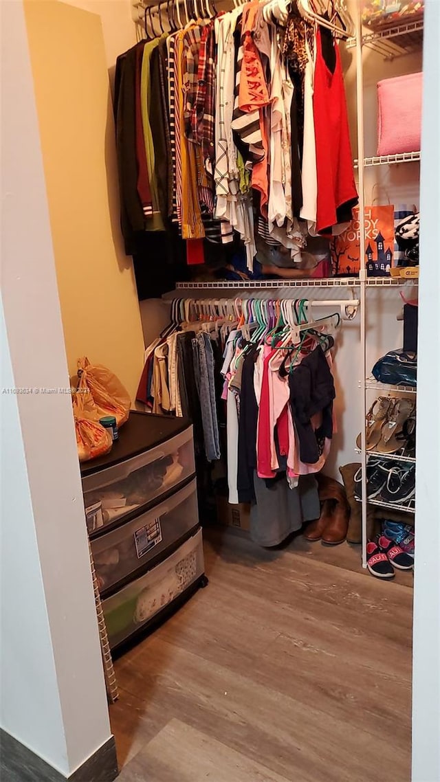 walk in closet featuring wood-type flooring