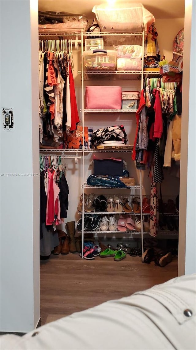 view of closet