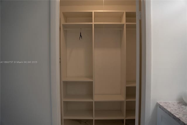 view of closet