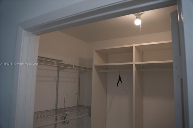 view of spacious closet