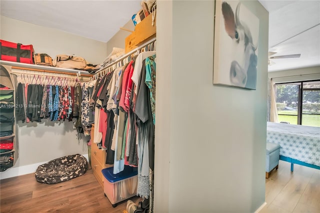 walk in closet featuring light wood-type flooring