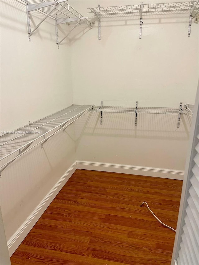 walk in closet featuring wood-type flooring