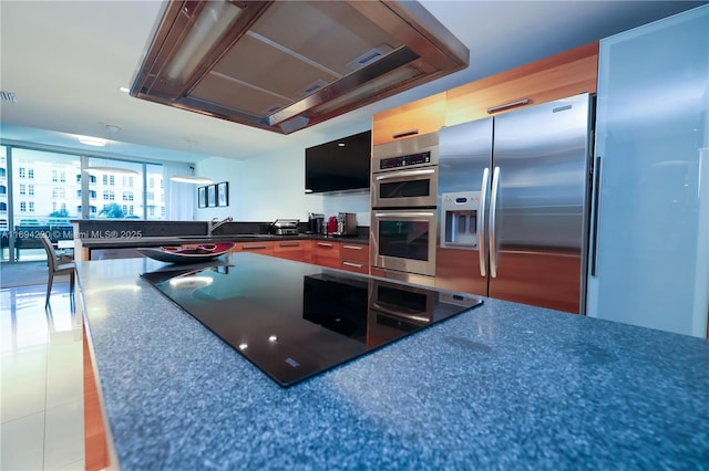 kitchen with a raised ceiling, sink, stainless steel appliances, and range hood