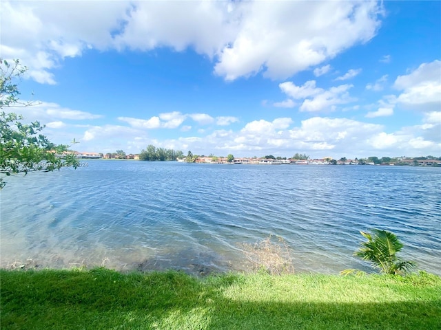 view of water feature