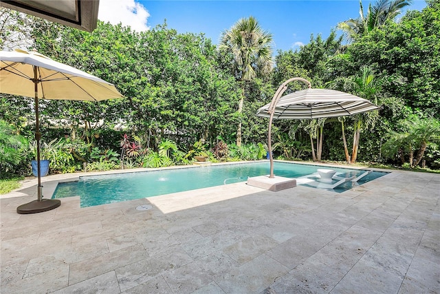 view of swimming pool featuring a patio area