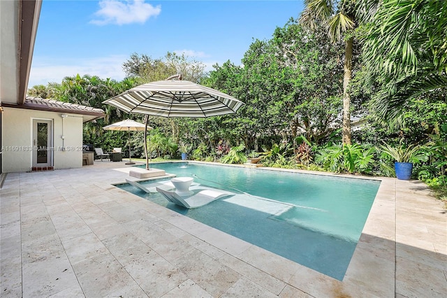 view of swimming pool with pool water feature, exterior kitchen, and a patio