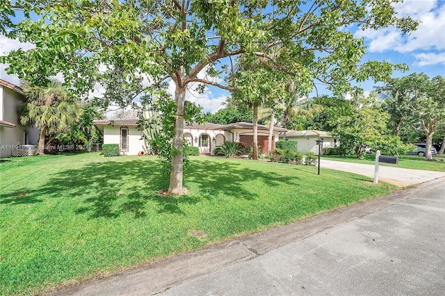 ranch-style house featuring a front yard