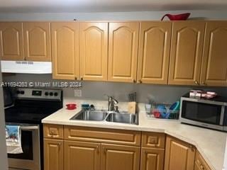 kitchen featuring sink, range hood, and appliances with stainless steel finishes