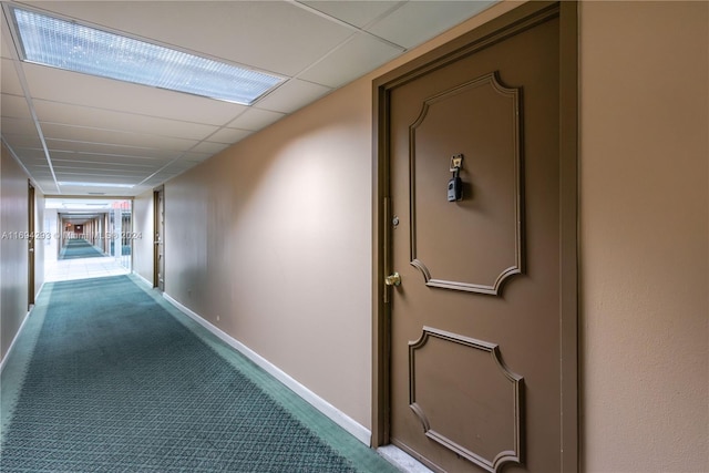 hall with a paneled ceiling and carpet floors