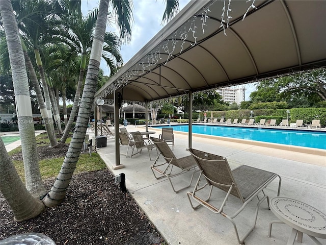 view of pool featuring a patio area