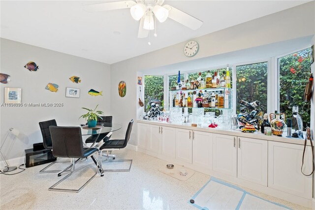 interior space with ceiling fan, plenty of natural light, and white cabinets