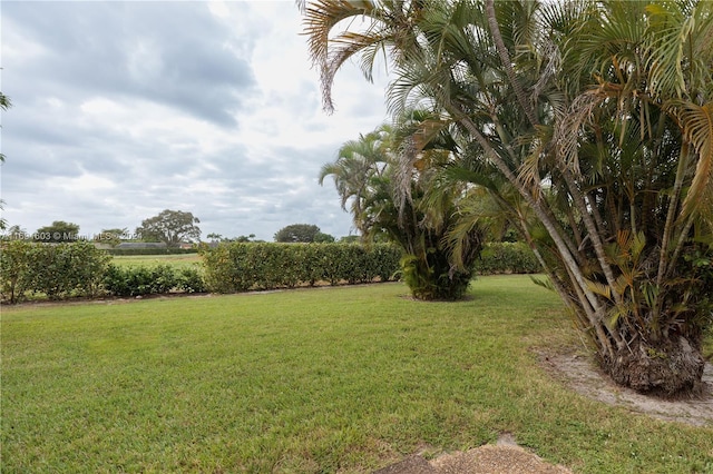 7708 Margate Blvd Unit C3-4, Margate, FL 33063 - view of grassy yard