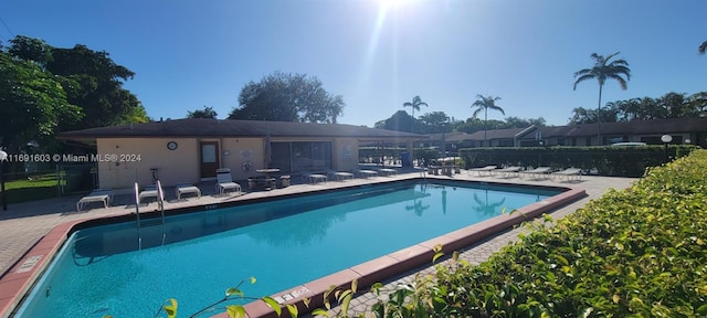 view of pool with a patio area