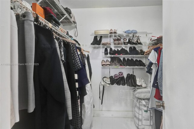 view of walk in closet