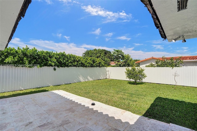 view of yard featuring a patio