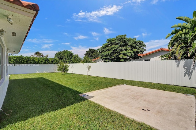 view of yard featuring a patio area