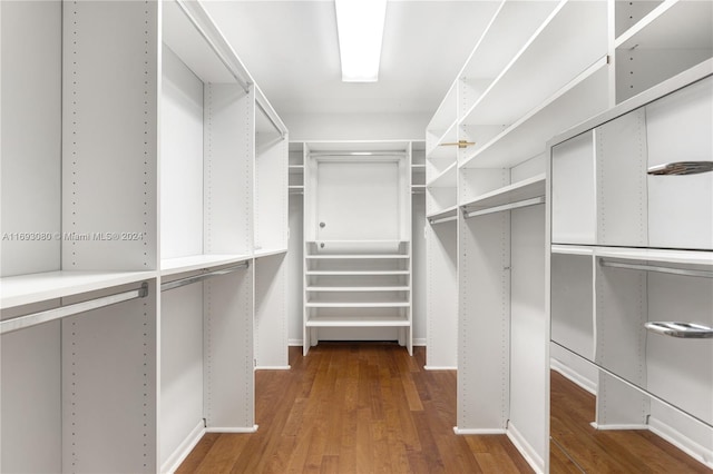 walk in closet with hardwood / wood-style floors