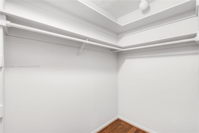 walk in closet featuring wood-type flooring