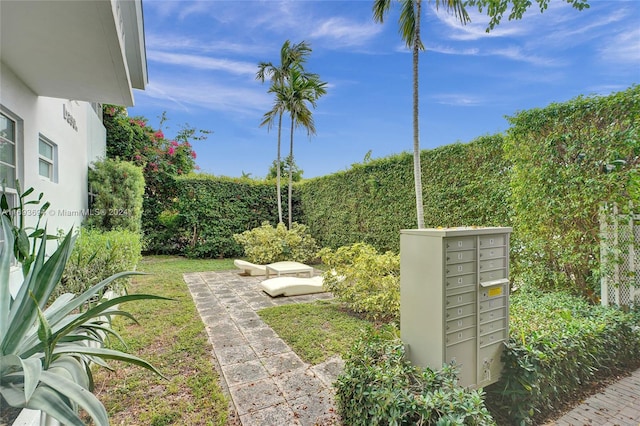 view of yard featuring mail boxes