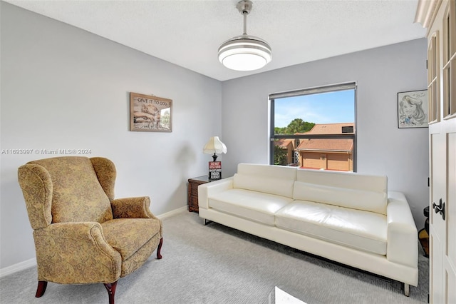 carpeted living room with a textured ceiling