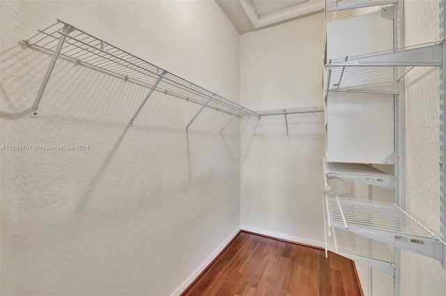 walk in closet featuring hardwood / wood-style floors