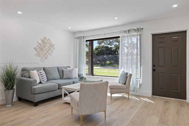 living room featuring light wood-type flooring