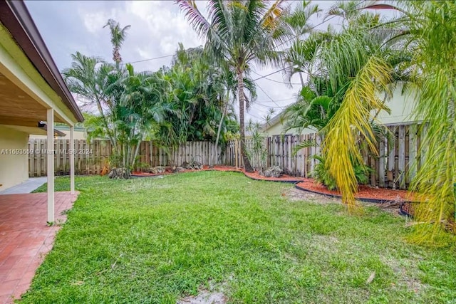 view of yard featuring a patio area