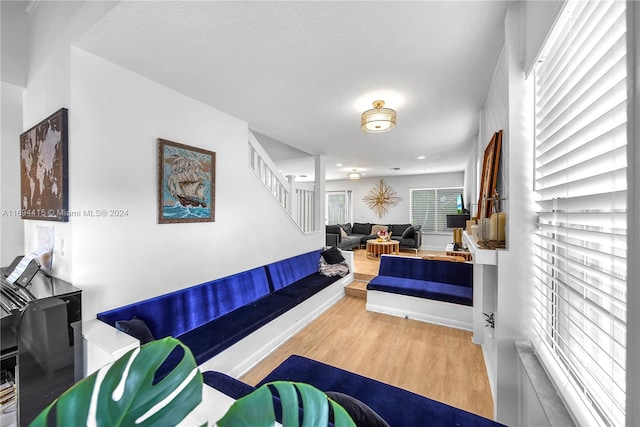 living room featuring light wood-type flooring