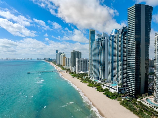 property view of water featuring a beach view