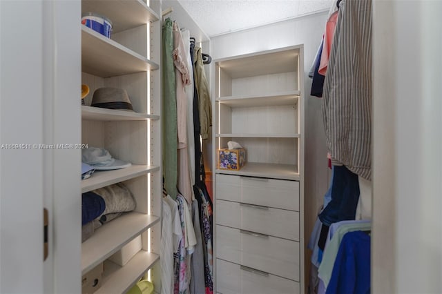 view of walk in closet