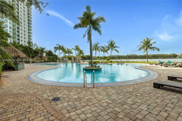 view of pool with a patio area