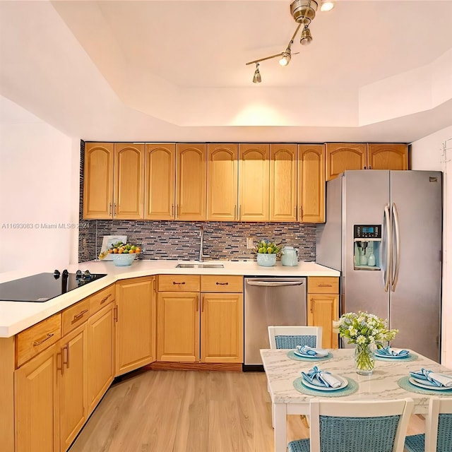 kitchen featuring tasteful backsplash, stainless steel appliances, a tray ceiling, sink, and light hardwood / wood-style floors