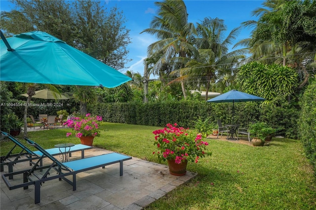 view of yard with a patio area